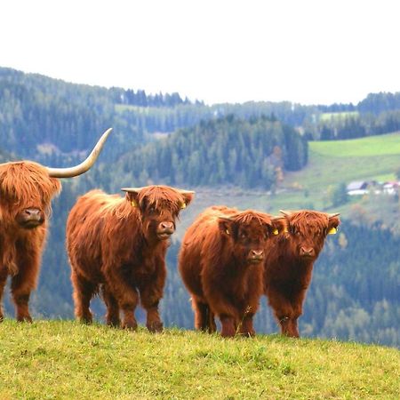 Fruehstueckspension Ochnerbauer Kindberg Zewnętrze zdjęcie